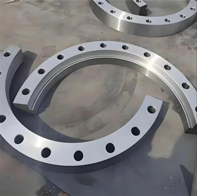 Stainless Steel Forged Flanges